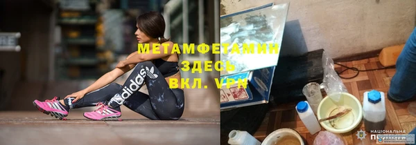 гидра Арсеньев