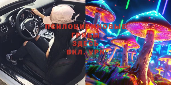 эйфоретик Аркадак