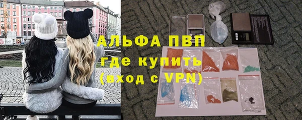 гидра Арсеньев