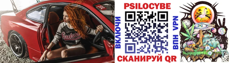 Псилоцибиновые грибы Psilocybine cubensis  купить наркоту  Малоархангельск 